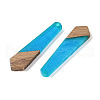 Resin & Wood Pendants WOOD-F015-05G-2