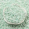 Macaron Color Opaque Frosted Glass Seed Beads X1-SEED-K009-12B-07-2