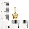 Brass Micro Pave Cubic Zirconia Charms KK-D356-05B-G-3