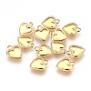 304 Stainless Steel Pendants STAS-G176-36G-1