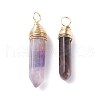 Natural Amethyst Double Terminated Pointed Pendants PALLOY-JF01211-01-1
