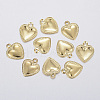 304 Stainless Steel Charms A-STAS-F160-31G-1