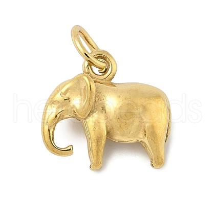 304 Stainless Steel Charms STAS-P391-01C-G-1