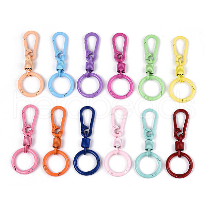 Spray Painted Alloy Iron Spring Gate Ring PALLOY-T090-77-1