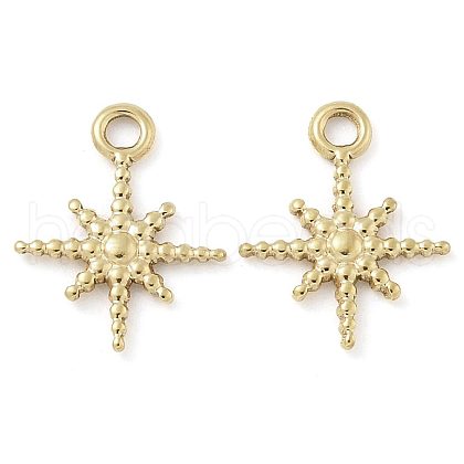 Ion Plating(IP) 304 Stainless Steel Charms STAS-U032-14G-1