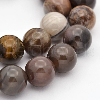 Natural Petrified Wood Round Beads Strands G-P101-01-6mm-1