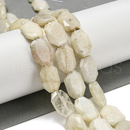Natural Rainbow Moonstone Beads Strands G-P544-B05-01-1