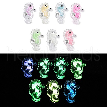 Transparent Luminous Acrylic Pendants TACR-Z002-03-1