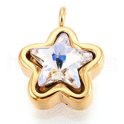 304 Stainless Steel Charms STAS-N112-02A-G-1