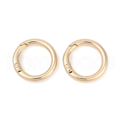 Alloy Spring Gate Clasps FIND-H012-05KCG-1