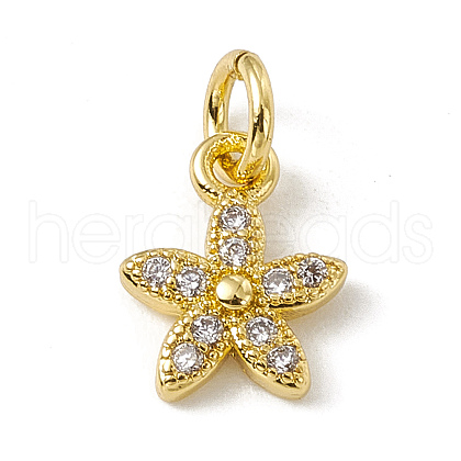 Brass Micro Pave Cubic Zirconia Charms ZIRC-F132-99G-1