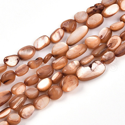 Natural White Shell Beads Strands SHEL-N036-21E-1