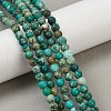 Dyed Natural Regalite/Imperial Jasper/Sea Sediment Jasper Beads Strands G-B124-C04-07-5