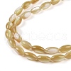 Natural Trochus Shell Beads Strands BSHE-G036-06A-3