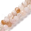 Natural Cherry Blossom Agate Beads Strands G-K380-A43-03-2