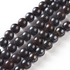 Natural Tiger Iron Beads Strands G-O181-15-1