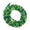 Transparent Glass Beads Strands GLAA-H027-01G-3