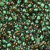 Glass Seed Beads X1-SEED-H002-B-D221-3