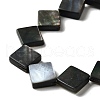 Natural Black Lip Shell Beads Strands BSHE-D300-09-3