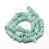 Natural Amazonite Chip Beads Strands G-E271-107-2