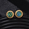 304 Stainless Steel Natural Paua Shell Stud Earrings EJEW-Z103-04G-01-2