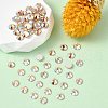 Preciosa® MAXIMA Crystal No Hotfix Flatback Stones Y-PRC-NSS12-90300-200-2