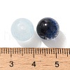 Mixed Style Glass Beads GLAA-XCP0012-02M-3