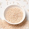 12/0 Transparent Glass Seed Beads X-SEED-F003-03C-12-2