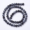 Natural Snowflake Obsidian Beads Strands G-D855-11-6mm-2
