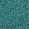 MIYUKI Round Rocailles Beads SEED-JP0010-RR3765-3