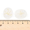 16Pcs 16 Styles Natural Quartz Crystal Display Decorations G-F786-02A-08-3