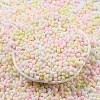 Macaron Color Opaque Frosted Glass Seed Beads X1-SEED-K009-12B-13-2
