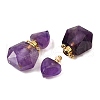 Natural Amethyst Perfume Bottle Pendants G-L623-12G-03-2