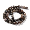 Natural Petrified Wood Beads Strands G-NH0021-A12-01-3