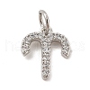 Brass Micro Pave Cubic Zirconia Charms KK-E077-02P-08-1