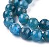 Natural Apatite Beads Strands G-R446-6mm-11-5