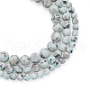 Yilisi 3 Strands 3 Style Natural Sesame Jasper/Kiwi Jasper Beads Strands G-YS0001-05-2