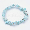 Natural Larimar Beaded Stretch Bracelets BJEW-JB02680-01-8