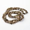 Natural Labradorite Chips Beads Strands X-F069-4