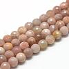 Natural Sunstone Beads Strands G-R447-12mm-02-1