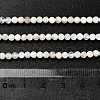 Natural Rainbow Moonstone Beads Strands G-RM2025-31-3mm-5