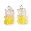 Resin Pendants RESI-TAC0002-17I-2