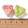 Opaque Resin Imitation Food Decoden Cabochons CRES-Z006-06-3
