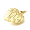 Brass Pendants KK-Z102-08G-01-2
