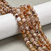 Natural Citrine Beads Strands X-G-P569-A01-02-1