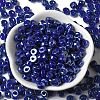 Opaque Colours Luster Glass Seed Beads SEED-E001-P3x6mm-A08-2