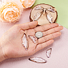 Transparent Resin Light Rose Rhinestone Pendants Set RESI-TAC0002-47A-5