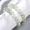 Natural Prehnite Round Beaded Stretch Bracelets for Men Women BJEW-G743-01F-1