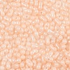 Baking Paint Glass Seed Beads SEED-L011-09A-11-3
