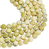  3 Strands Natural Dendritic Jasper Beads Strands G-NB0004-69-1